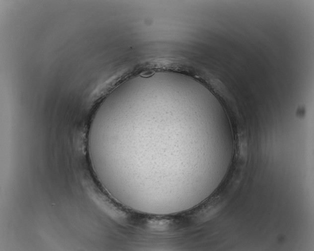 X0000112410450200908281818