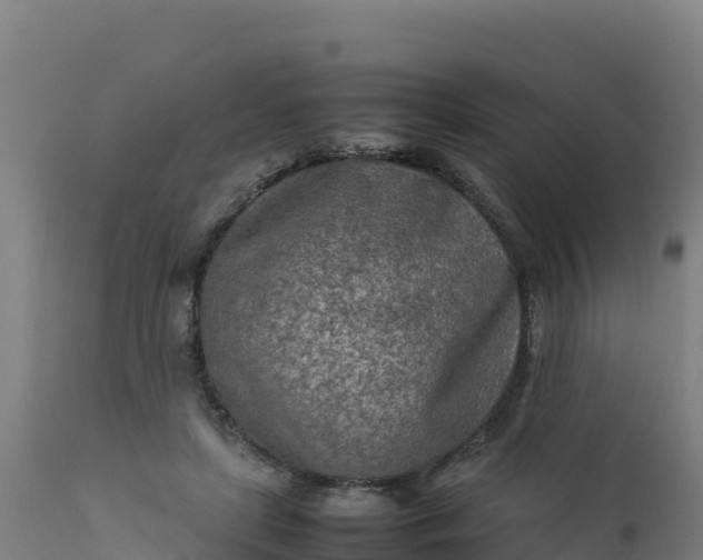 X0000112410451200908281818