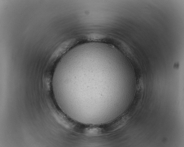 X0000112410452200908281818