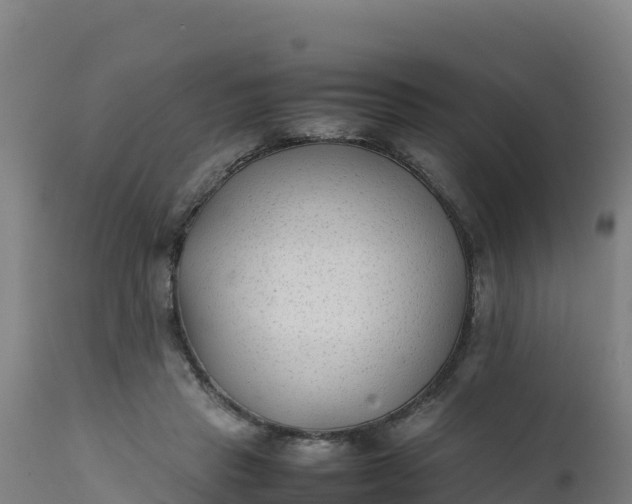 X0000112410453200908281818