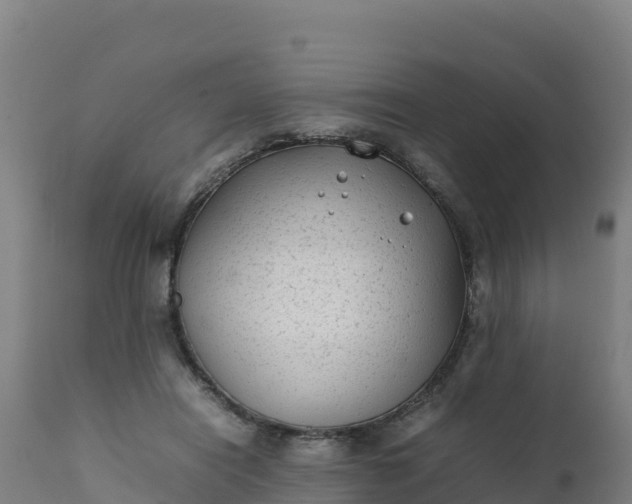 X0000112410454200908281818