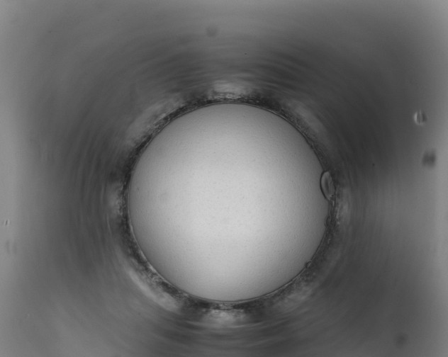 X0000112410455200908281818