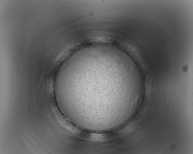 X0000112410457200908281818