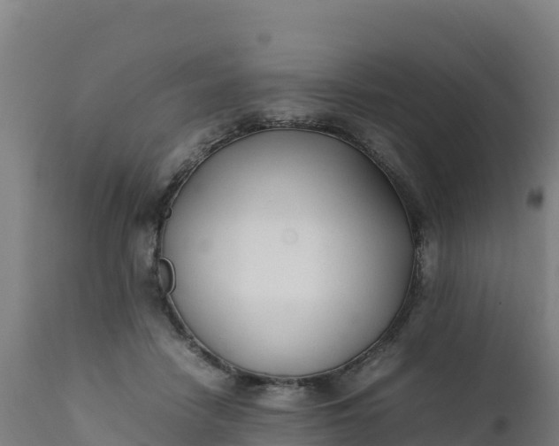 X0000112410458200908281818