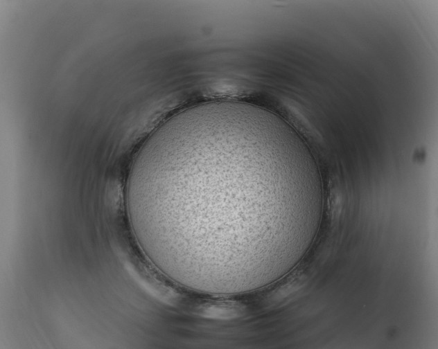 X0000112410459200908281818