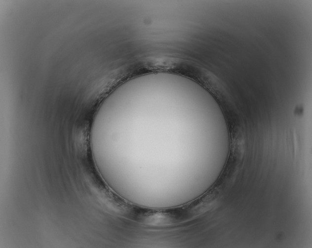 X0000112410460200908281818