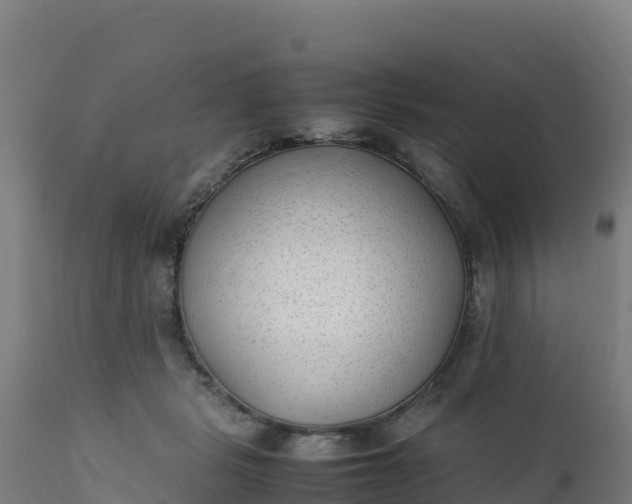 X0000112410461200908281818