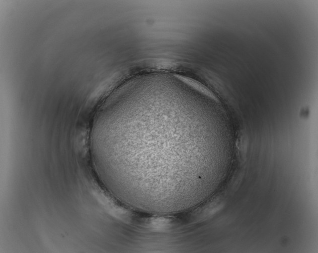 X0000112410462200908281818