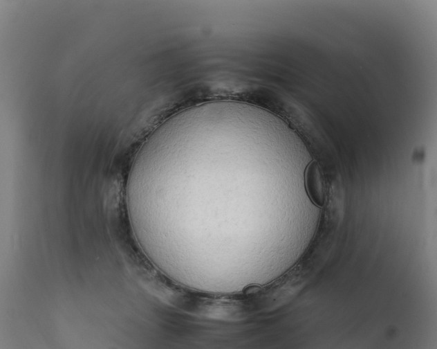 X0000112410463200908281818