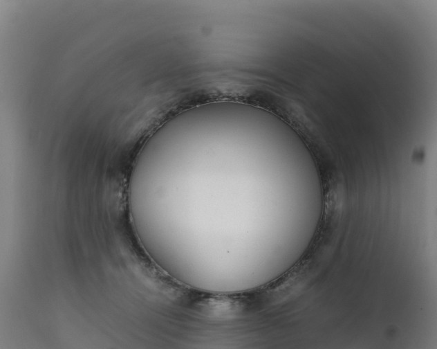 X0000112410464200908281818