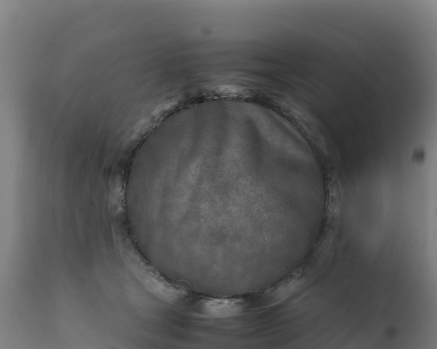 X0000112410465200908281818