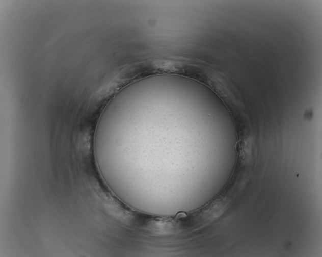 X0000112410466200908281818