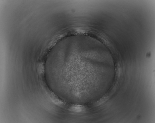 X0000112410467200908281818