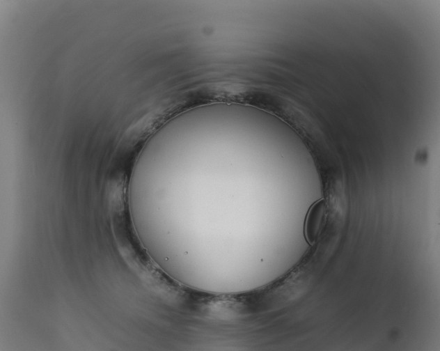 X0000112410468200908281818