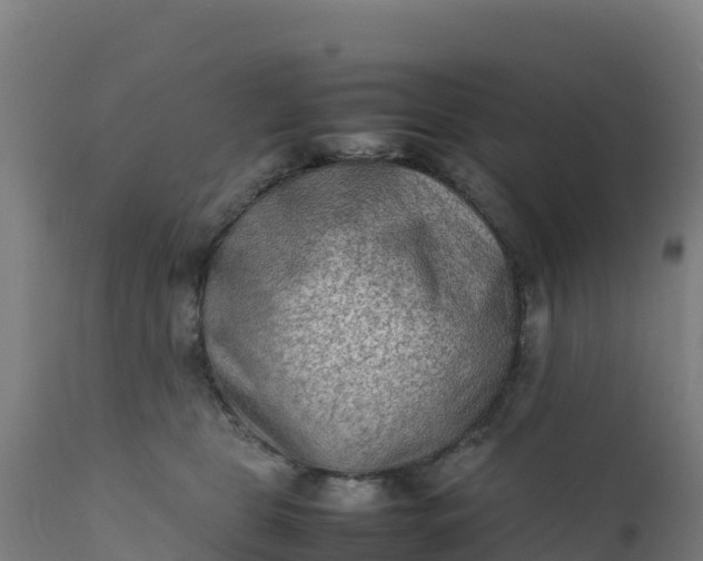 X0000112410469200908281818