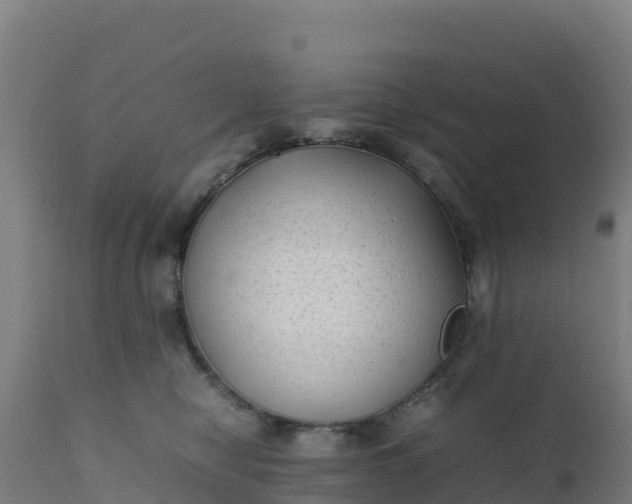 X0000112410470200908281818