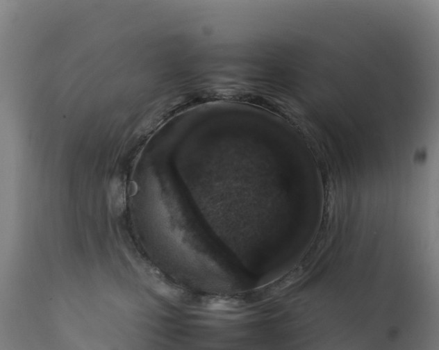 X0000112410471200908281818