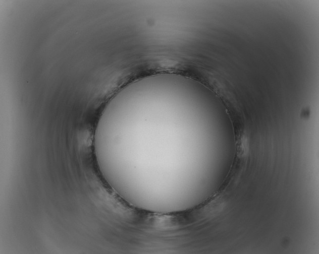 X0000112410472200908281818