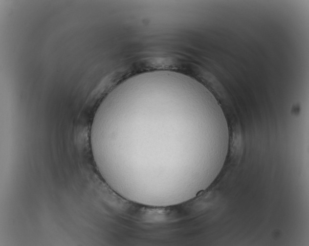 X0000112410473200908281818