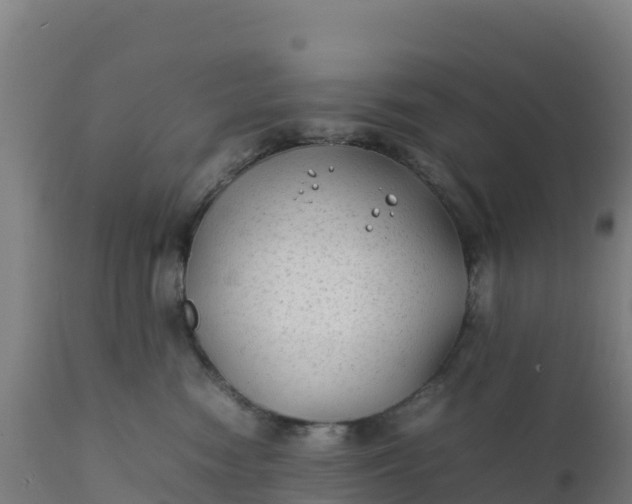 X0000112410474200908281818