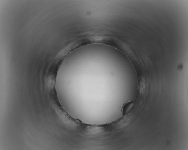 X0000112410476200908281818