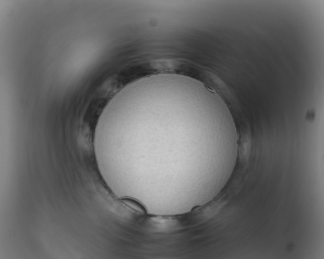 X0000112410477200908281818