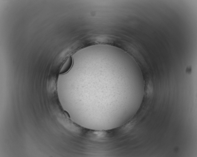 X0000112410478200908281818