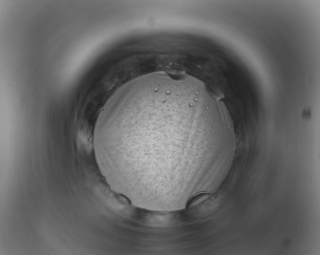 X0000112410479200908281818