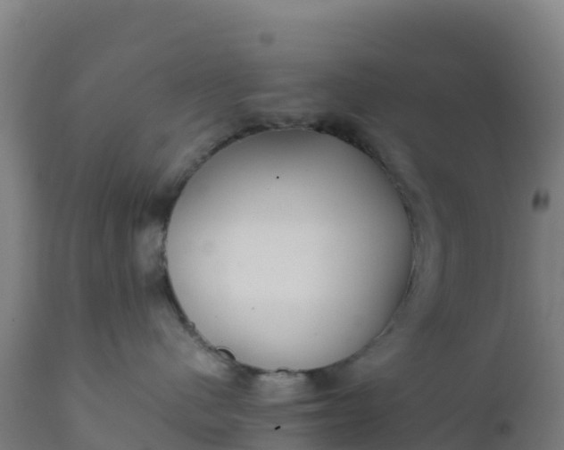 X0000112410480200908281818