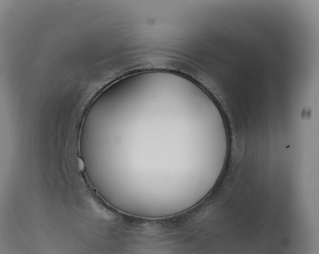 X0000112410481200908281817