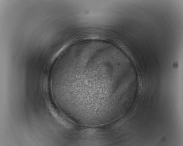 X0000112410482200908281817