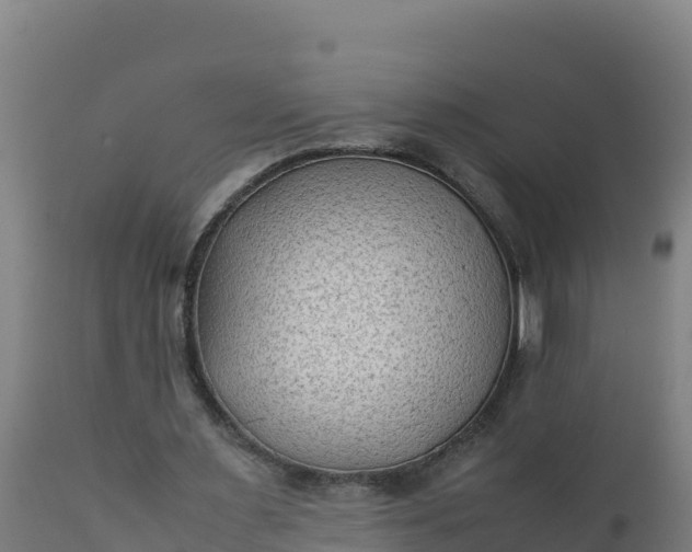 X0000112410483200908281817