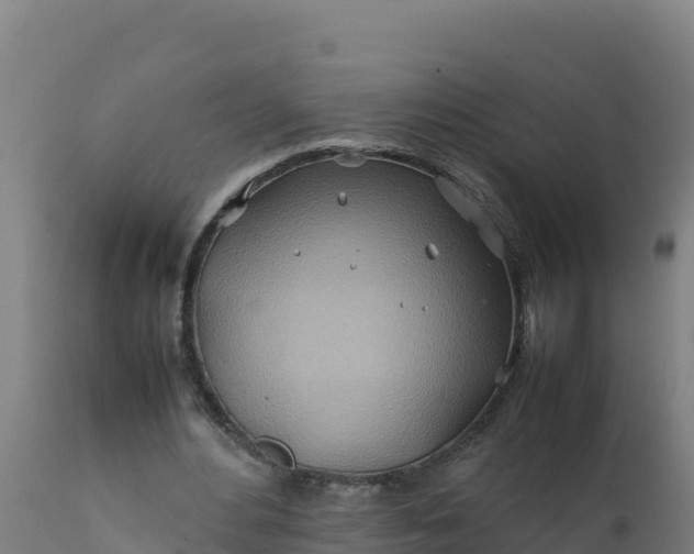 X0000112410484200908281817