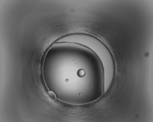 X0000112410485200908281817