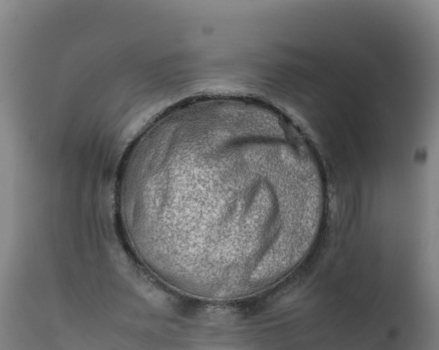 X0000112410487200908281817