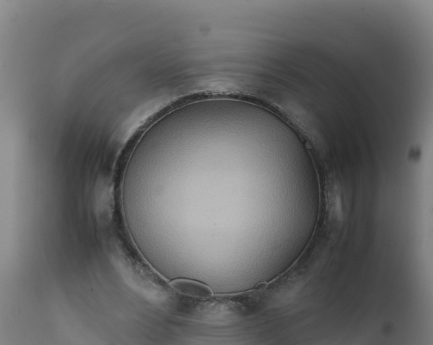 X0000112410488200908281817