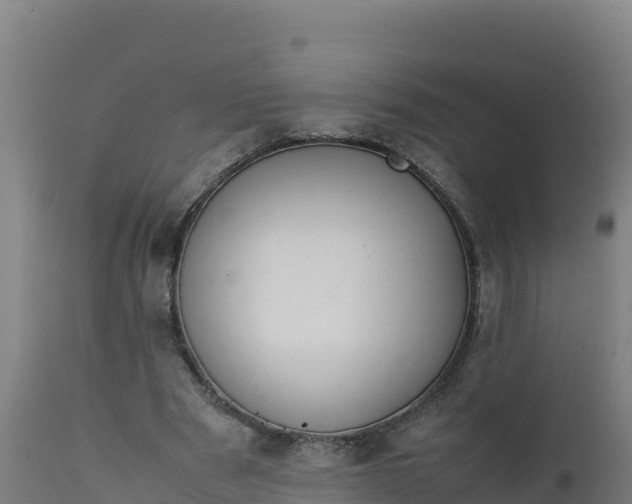 X0000112410489200908281817