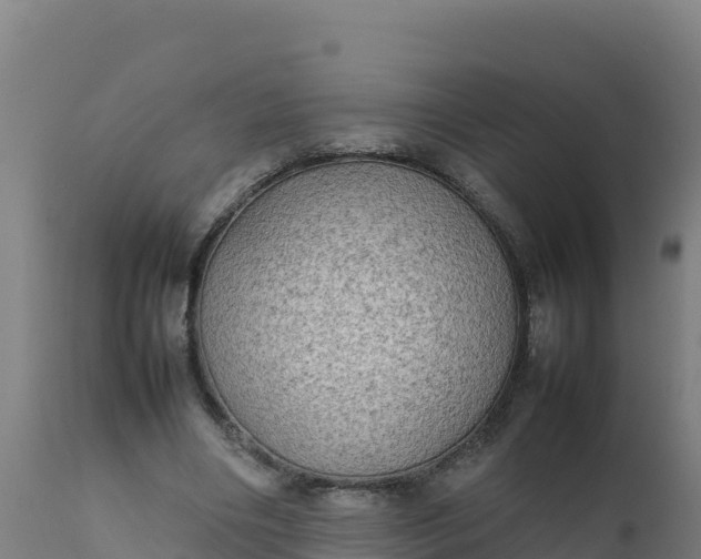 X0000112410490200908281817