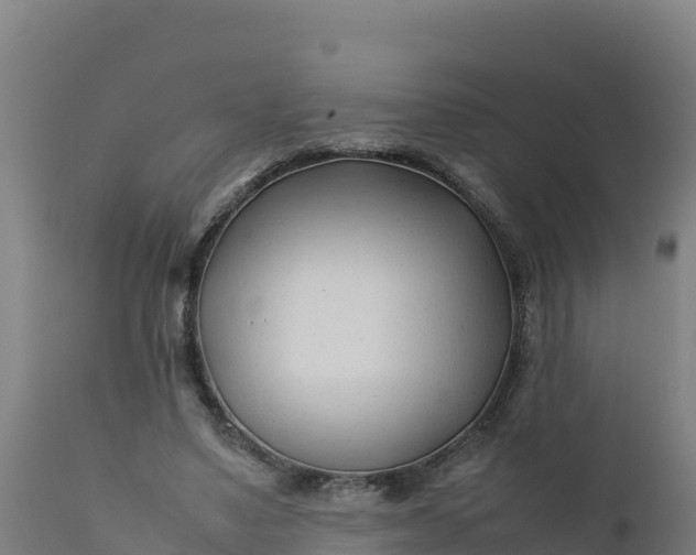 X0000112410491200908281817