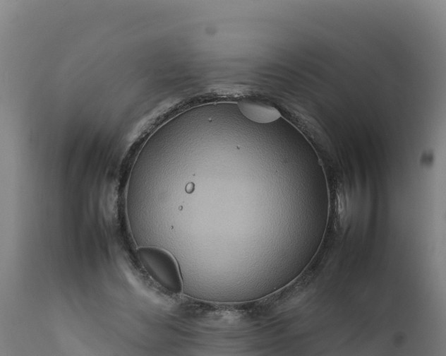 X0000112410492200908281817