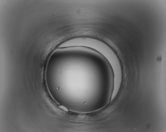 X0000112410493200908281817