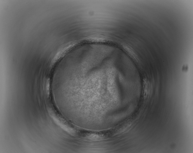 X0000112410494200908281817