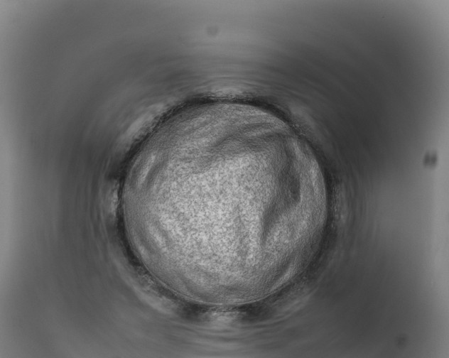 X0000112410495200908281817