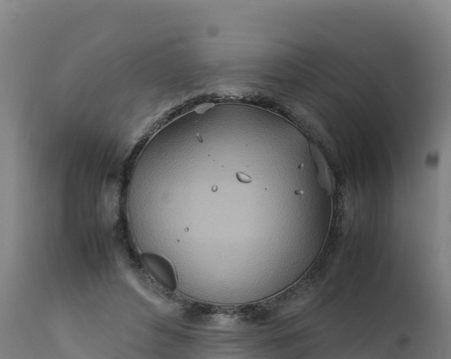 X0000112410496200908281817