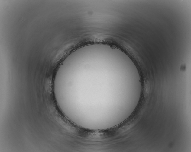 X0000112410497200908281817