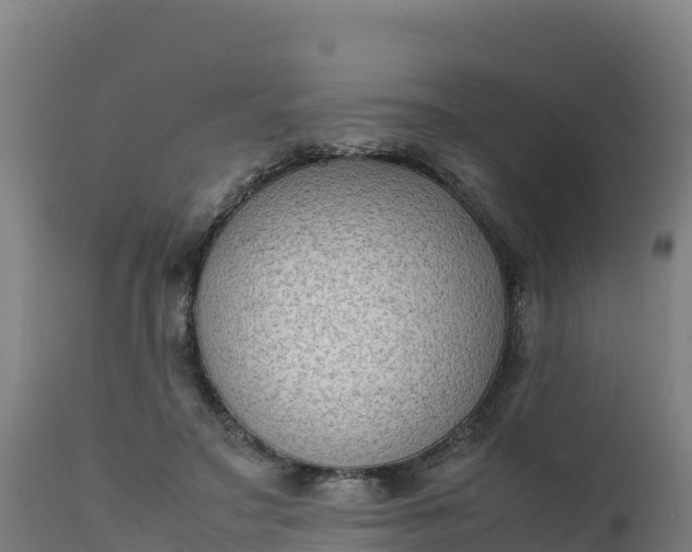 X0000112410499200908281817