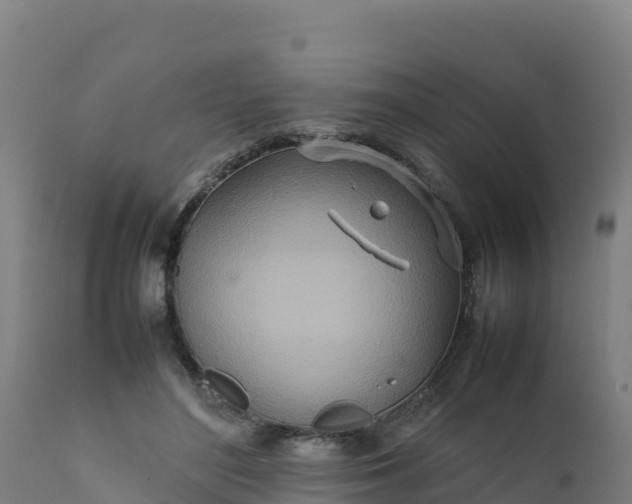 X0000112410500200908281817