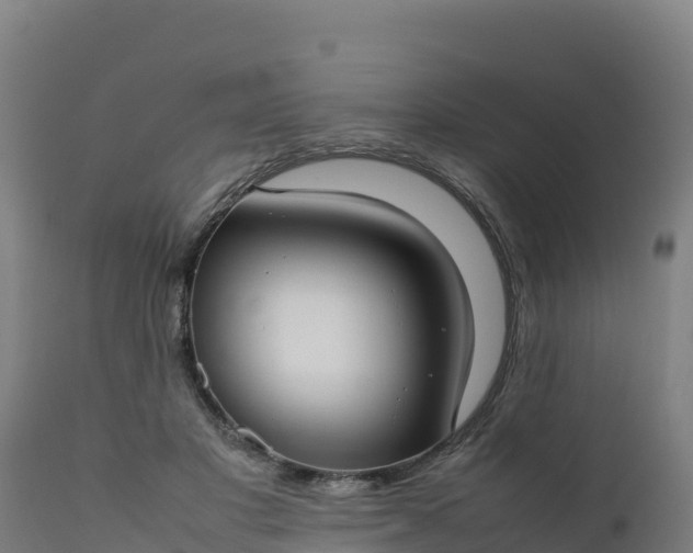 X0000112410501200908281817