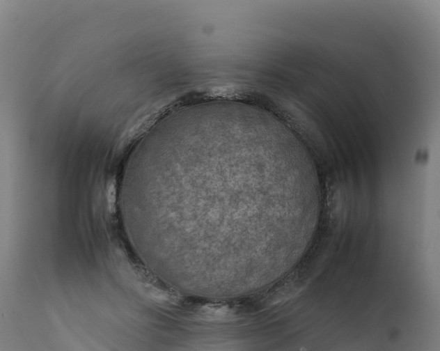 X0000112410502200908281817