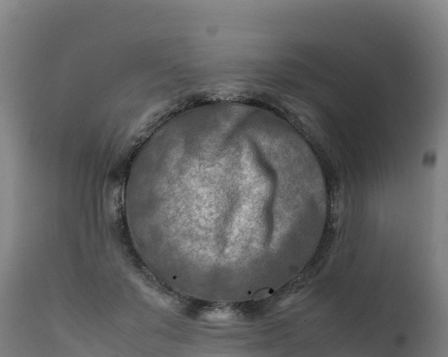 X0000112410503200908281817